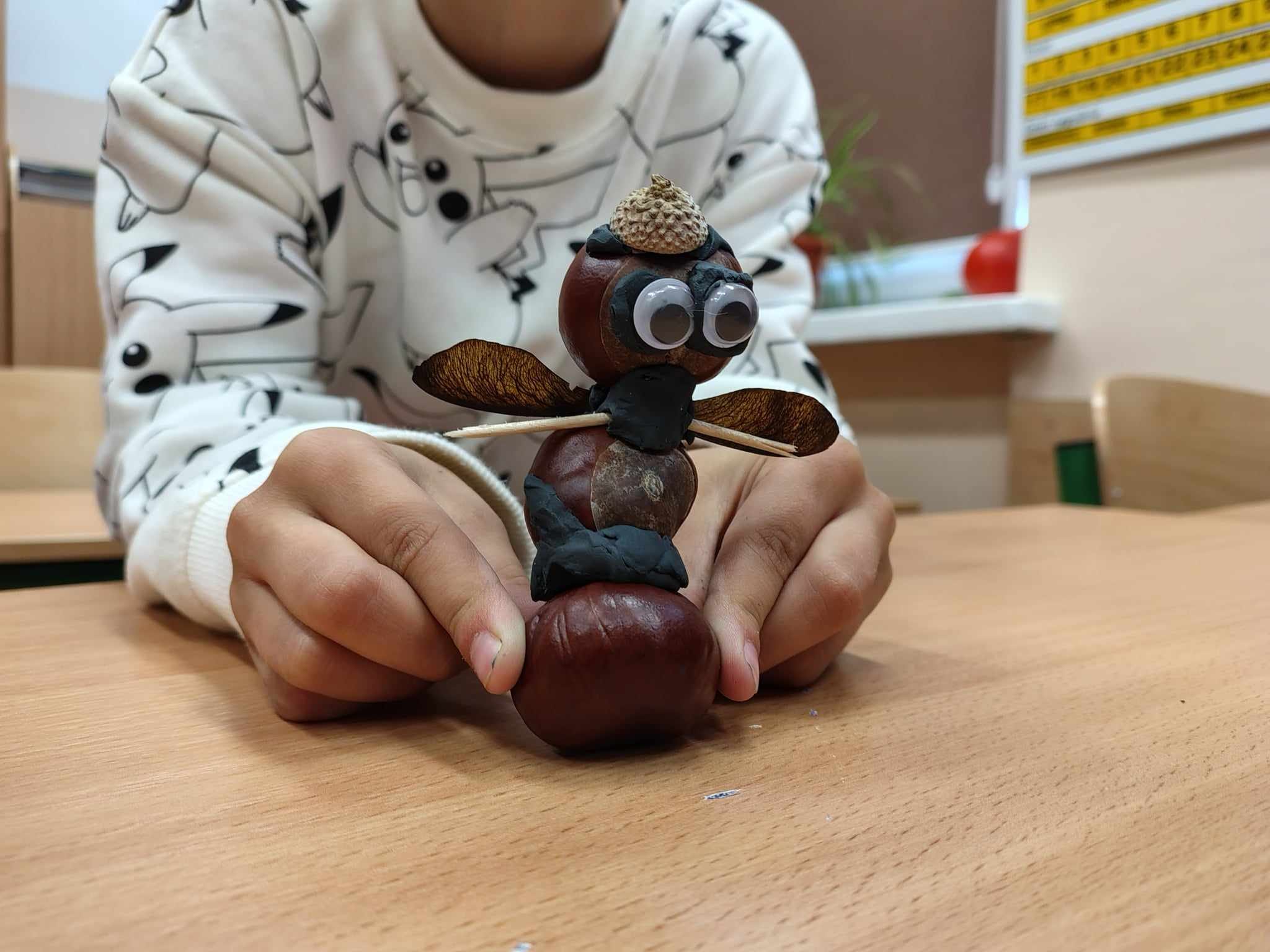 kasztany6