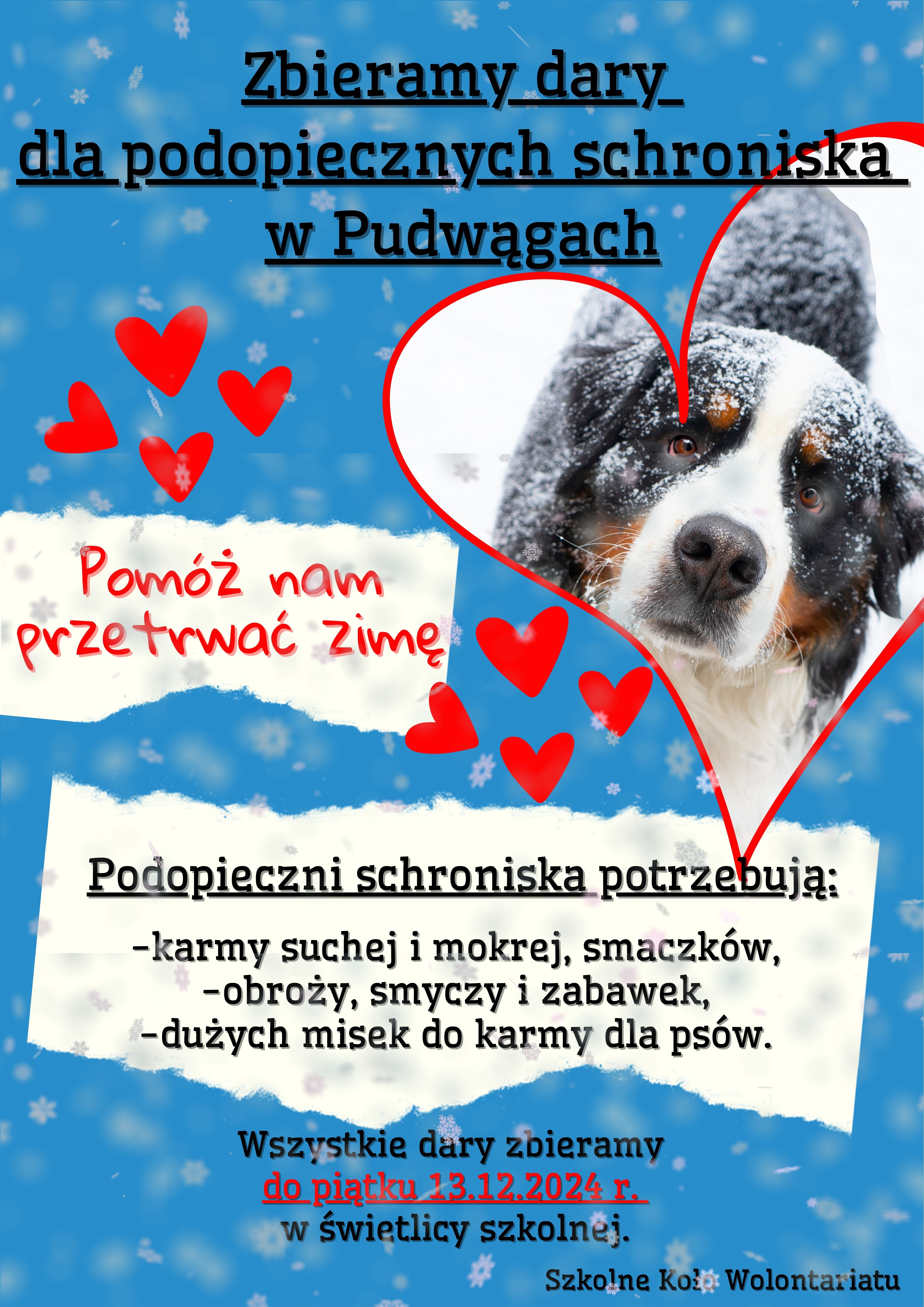 Pomarańczowo zielony uroczy plakat dla schroniska o adopcji