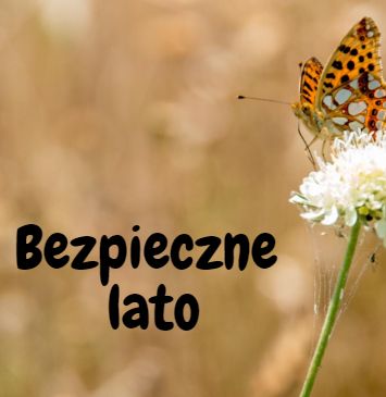 lato bezpieczne