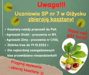 kasztany 2