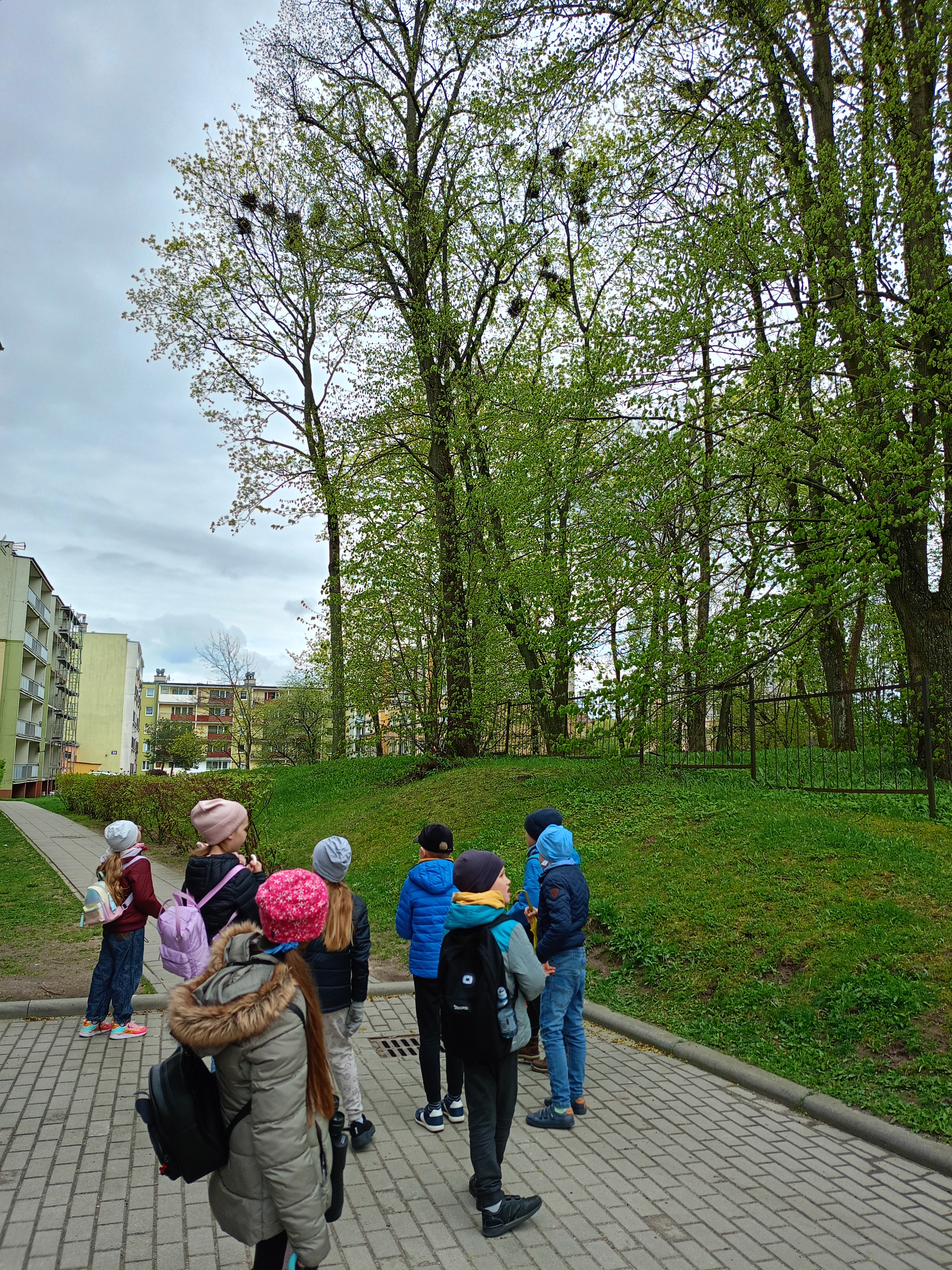 IMG20240417155824