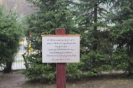 100 lat Niepodległej_7