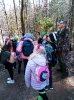 Obchody Dnia Kolorowej Skarpetki, Dnia Wiosny oraz Międzynarodowego Dnia Lasów