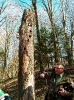 Obchody Dnia Kolorowej Skarpetki, Dnia Wiosny oraz Międzynarodowego Dnia Lasów_8