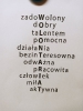„Wolontariat-dlaczego warto się zaangażować?” _2