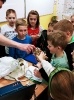Zajęcia przyrodnicze klasa 2_4